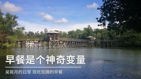 逃离痛苦的房子2
