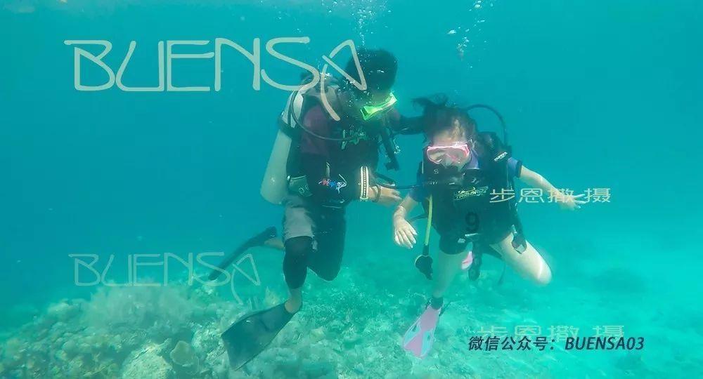大山羔羊逃生